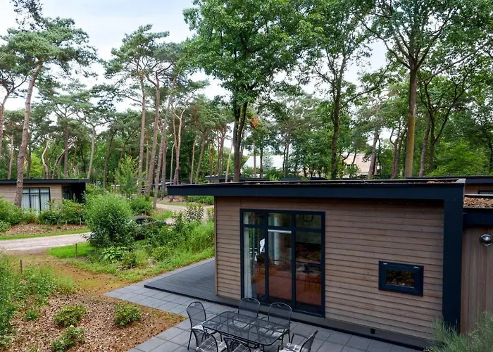 Forestlodge in het Vechtdal - 5 persoons